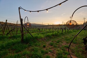 Utsikt fra overnattingsstedet