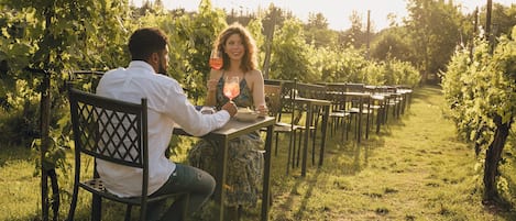 Una pareja cenando en un viñedo, con hileras de vides y mesas preparadas para comer al aire libre.