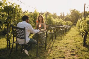 Restaurant - Hotel Ristorante La Dama nella Vigna  (Monteriggioni)
