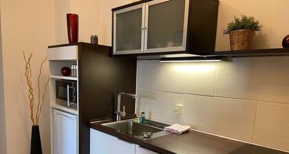 Gemütliches Apartment für 4 Personen mit Küche & Balkon, Elbblick & WLAN gratis