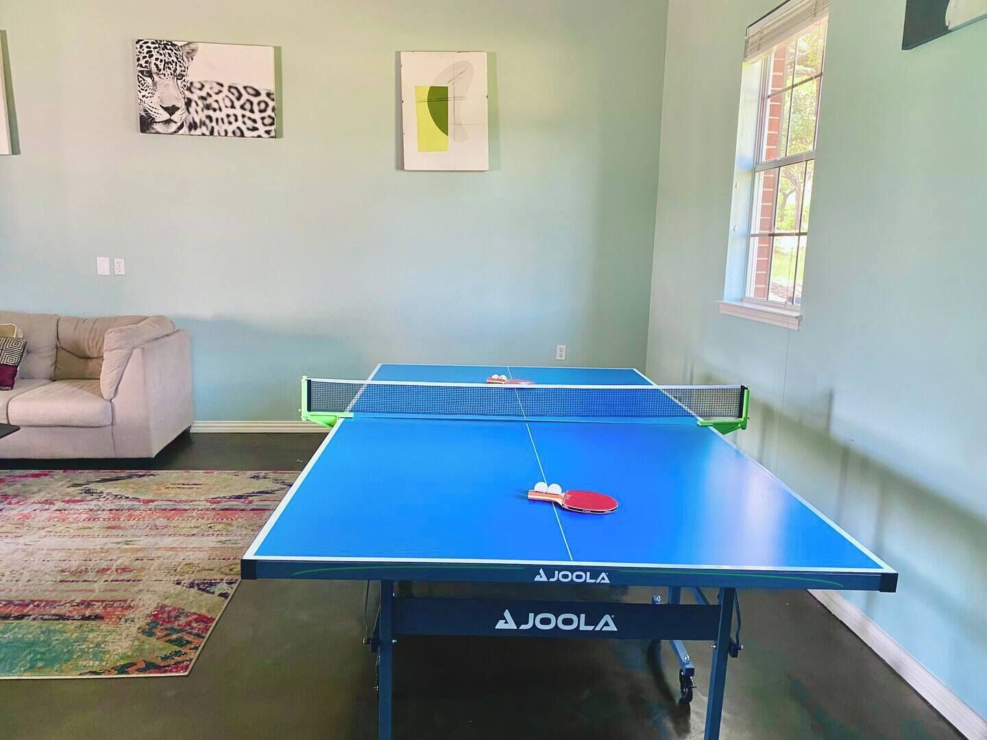 Ein Tischtennis-Tisch mit blauer Tischplatte und Netz, ein roter Schläger und ein weißer Ball. Im Raum befindet sich eine beigefarbene Couch und ein farbenfroher Teppich.