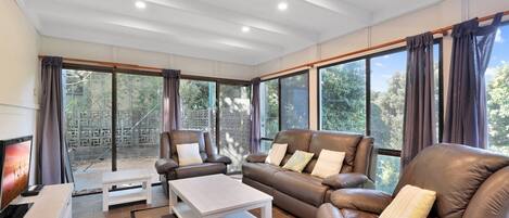 電視、DVD 播放機