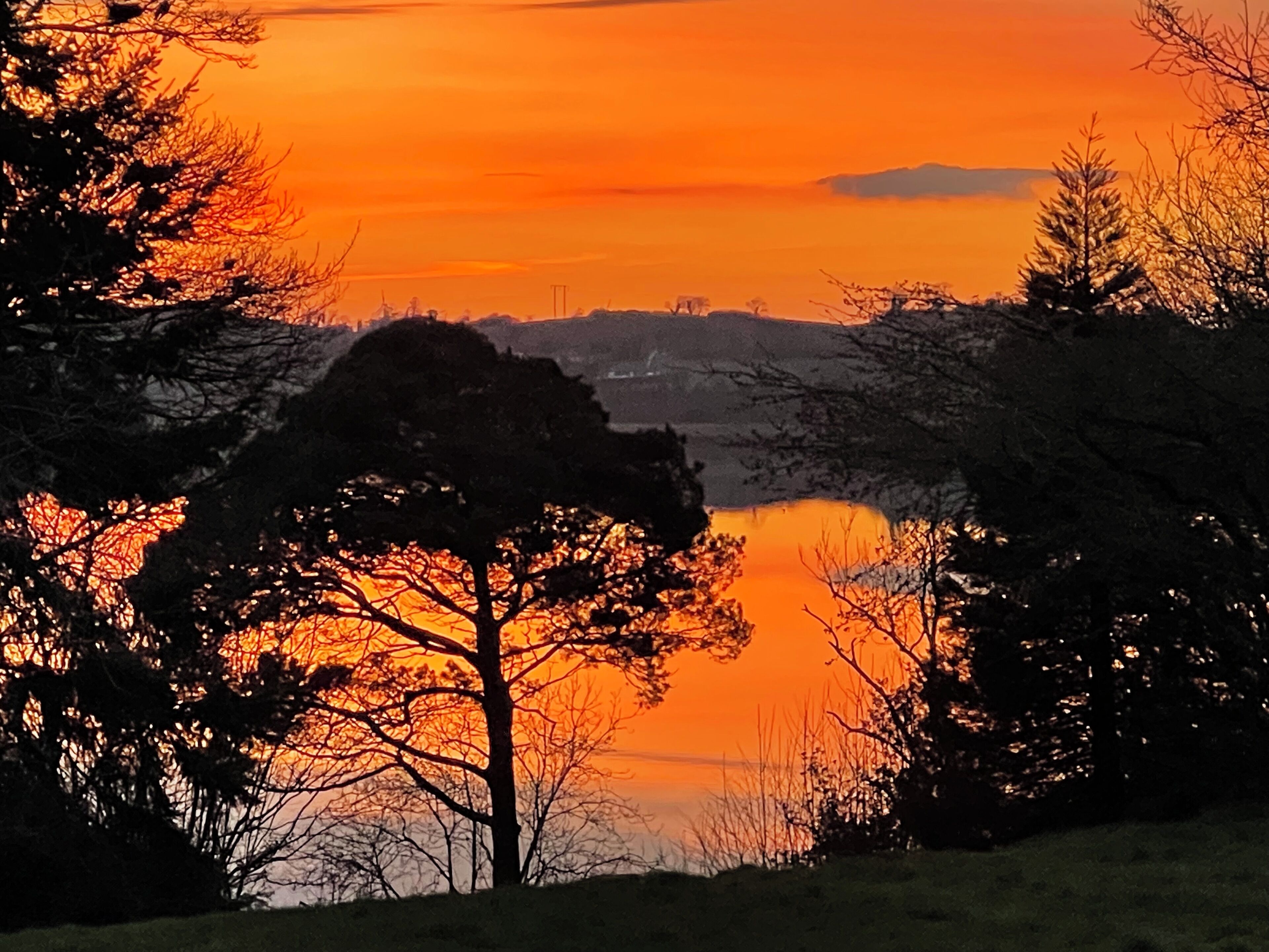 A sunset over a lake with trees in the foreground.