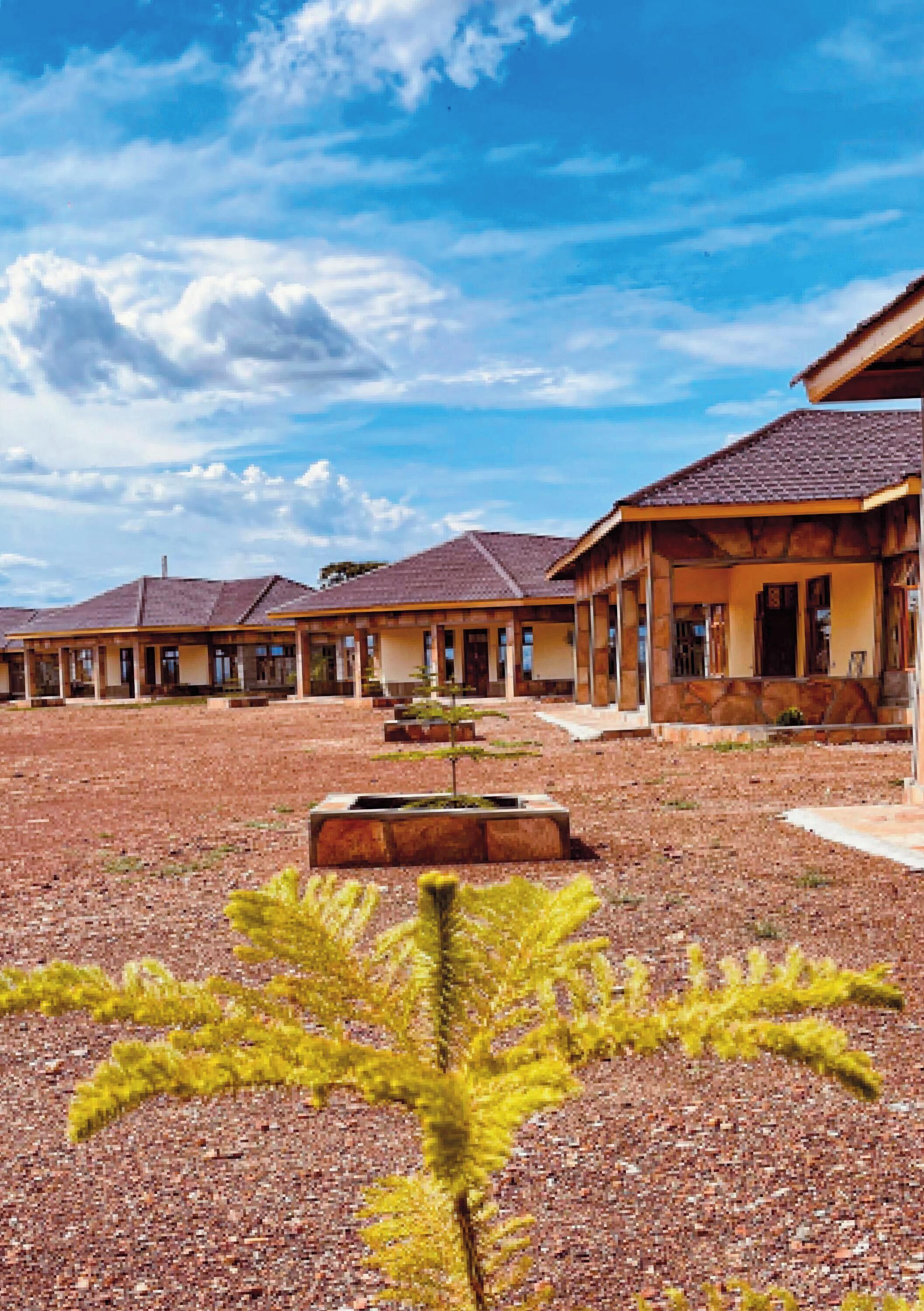 A row of single-story buildings with a courtyard, featuring a central planter with a yellow plant.