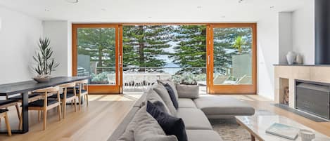 Smart TV, fireplace, books