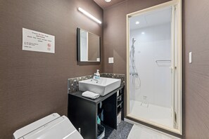 Hair dryer, towels, soap, toilet paper