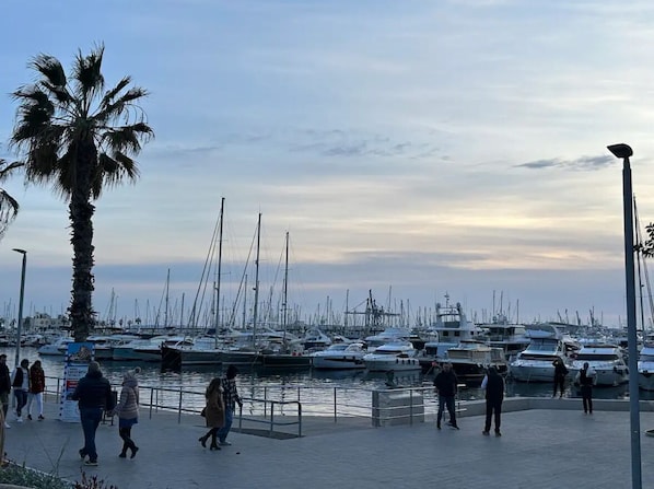 Marina