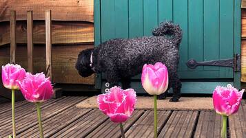 DĂ©tail de lâextĂ©rieur