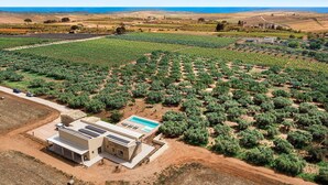 An olive grove with a modern building featuring solar panels, a swimming pool, and a dirt road. - Villa with Pool and A/C in Sicily (Menfi)