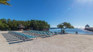 A beach with rows of blue lounge chairs and thatched-roof structures.