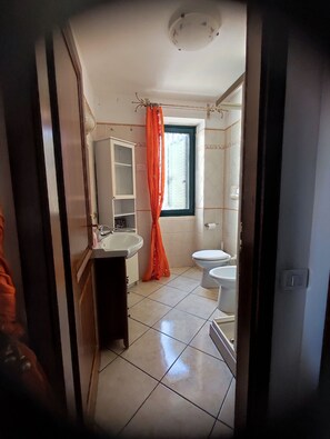 Een douche, een haardroger, een bidet, handdoeken