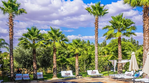 A swimming pool with lounge chairs and palm trees. - 
luxury Villa Marrakech  (Marrakech)