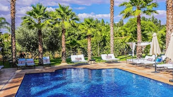 Une piscine avec des chaises longues et des palmiers.