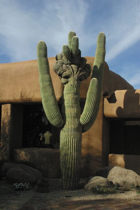 Bposhtels Scottsdale - Image 15