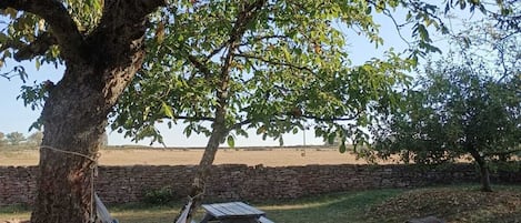 Ulkoalueet