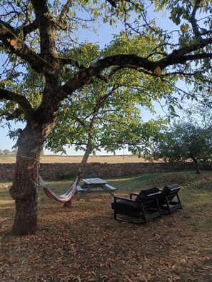 Enceinte de l’hébergement