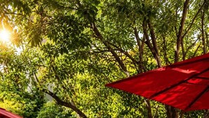 Des tables à manger installées en plein air, recouvertes de nappes blanches et ombragées par des parasols rouges, entourées de verdure et de murs en pierre.