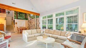 TV, caminetto, lettore DVD, libri