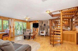 Télévision, cheminée, lecteur de DVD, livres