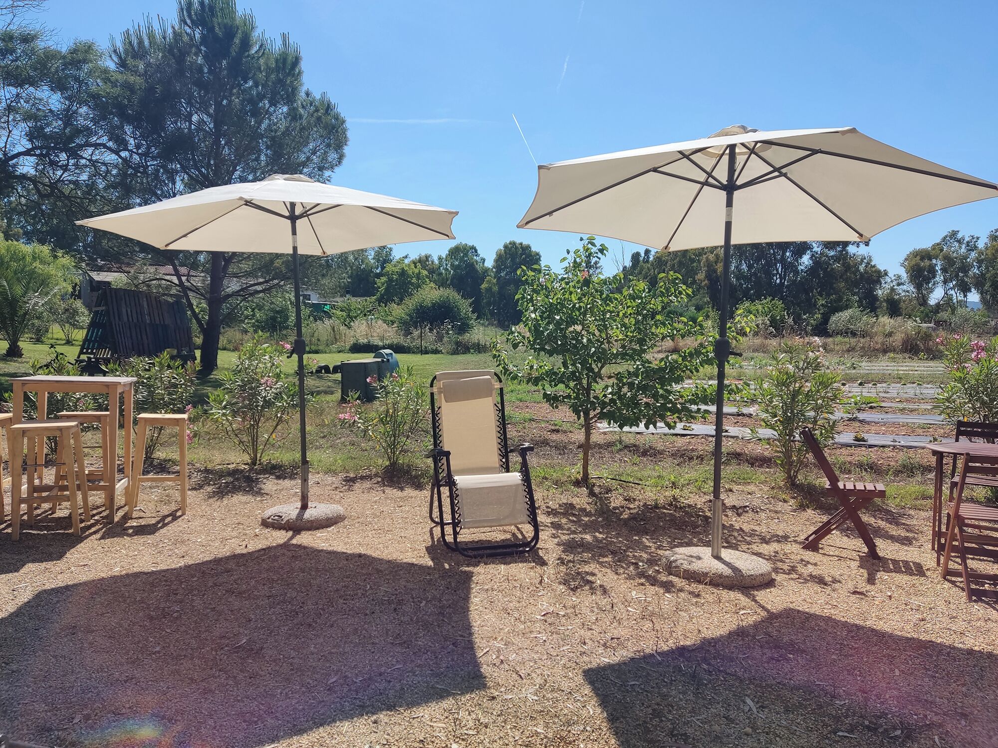 Außenpool (je nach Saison geöffnet), Sonnenschirme, Liegestühle