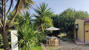 A patio area with a table and chairs under a canopy, surrounded by lush greenery and a stone pathway. - Guesthouse Pintadera (Sassari)