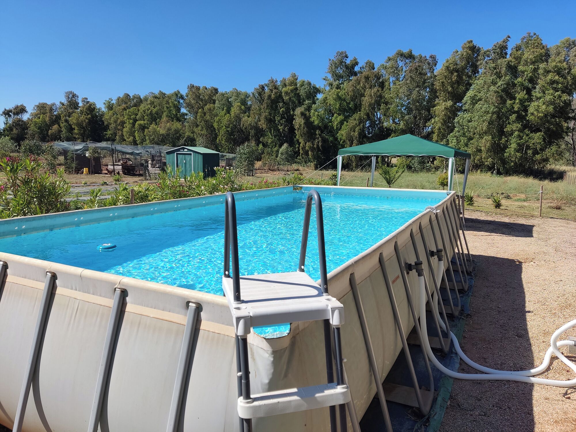 Ein überirdischer Pool mit einer Leiter, umgeben von Kiesflächen und Bäumen.