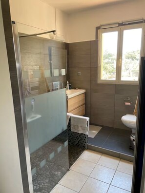 Shower, hair dryer, towels