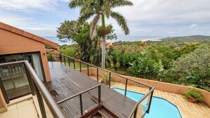 Un toit-terrasse avec une piscine, un palmier et une vue sur l’océan.