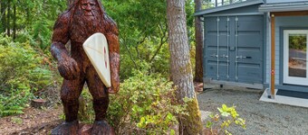 Sasquatch House MCA#50631 with Hot tub, dogs ok, ping pong, darts, firepit.