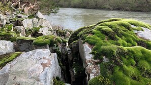 A rocky landscape with moss-covered stones and a river in the background.