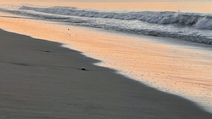Une plage avec des vagues, un ciel dégagé et des montagnes à l’horizon.