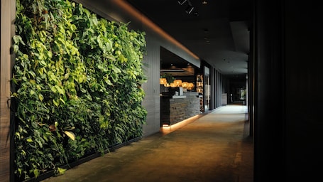 Reception. Anatura Hotel & Spa Luxembourg