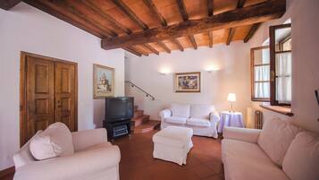 Televisión y libros