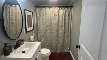 A bathroom with a white vanity, a toilet, a shower curtain, and a dark brown rug.