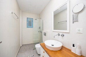 Shower, hair dryer, towels