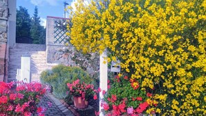 Un edificio de piedra con un buzón y un pequeño jardín con flores amarillas y rojas.