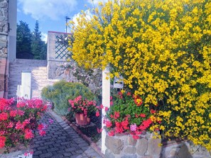 Property grounds - Bellavista Tuscany Apartment Panoramic Terrace (Lamporecchio)