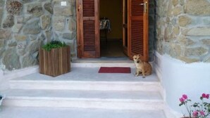 Detalle exterior