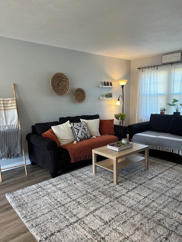 Smart TV, fireplace, books