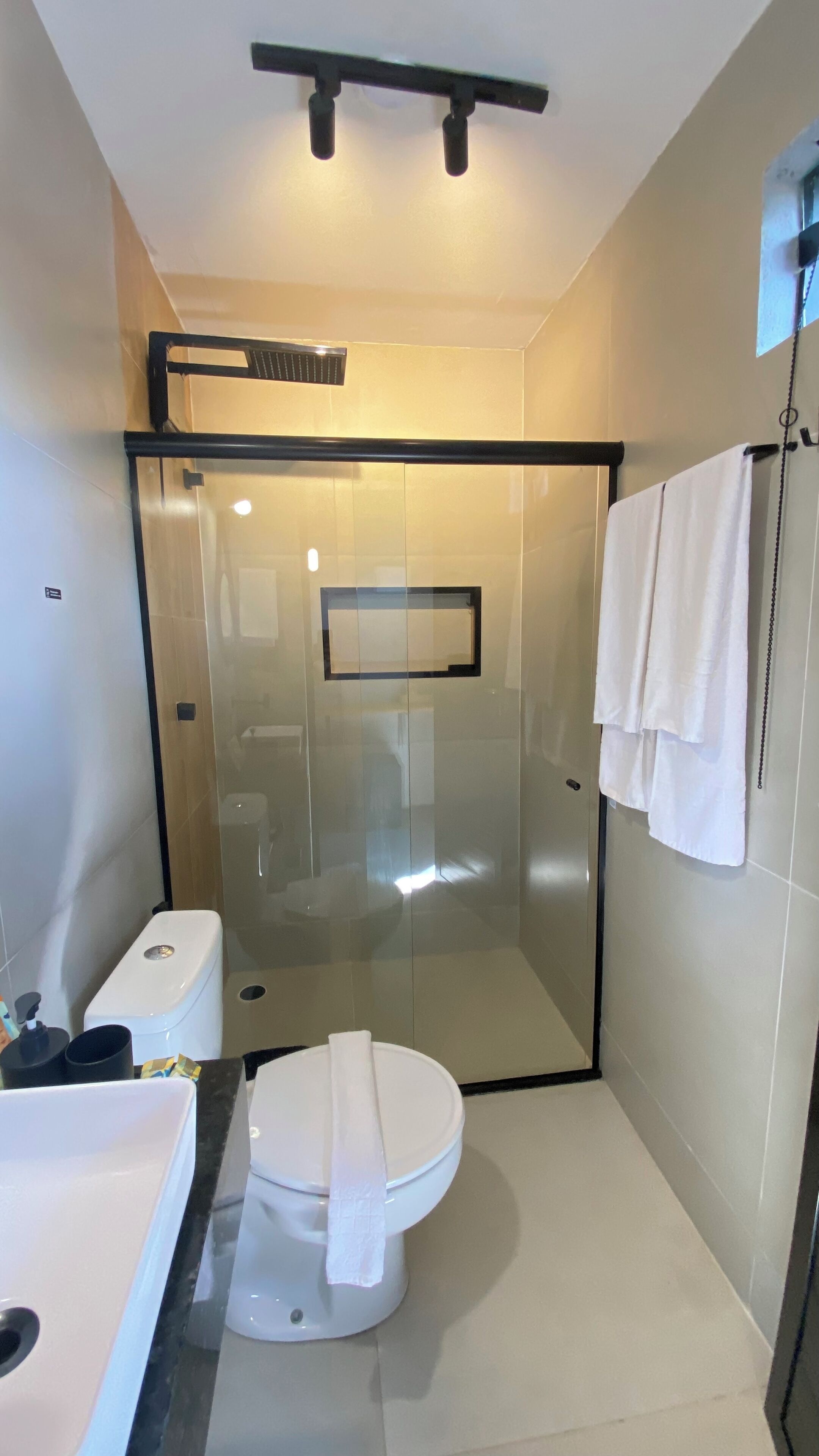A modern bathroom with a glass-enclosed shower, a toilet, and a sink.