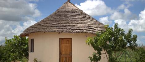 Apartamento, vistas al jardín | 1 dormitorio y wifi gratis