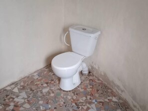 Apartamento, vistas al jardín | Baño | Ducha, toallas, jabón y papel higiénico
