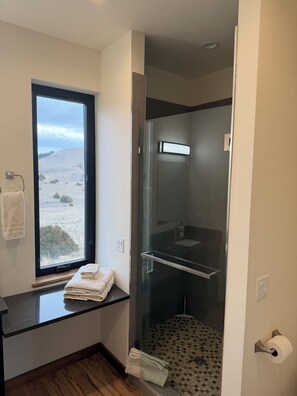 Shower, hair dryer, towels, soap