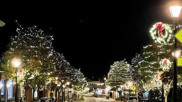 A street lined with trees decorated with lights and ornaments, a clear road, and a pedestrian crossing sign.