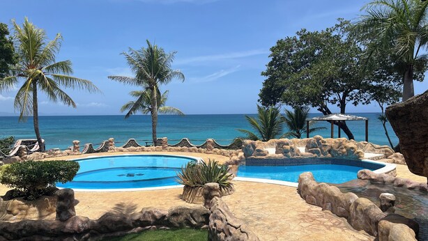 Un área de piscina con vista al océano, rodeada de palmeras y un muro de piedra.