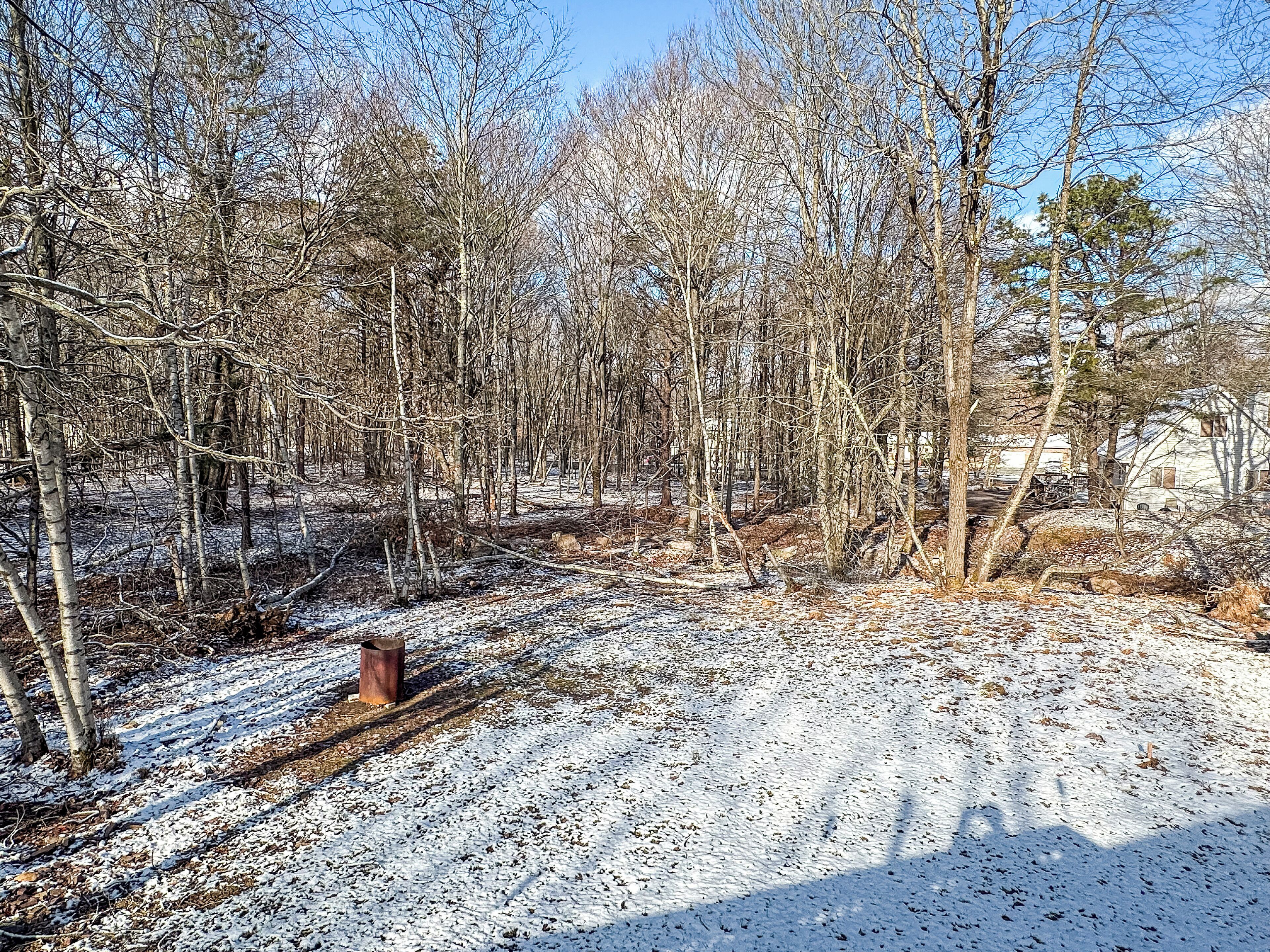 A snowy forest with bare trees and a clear sky.