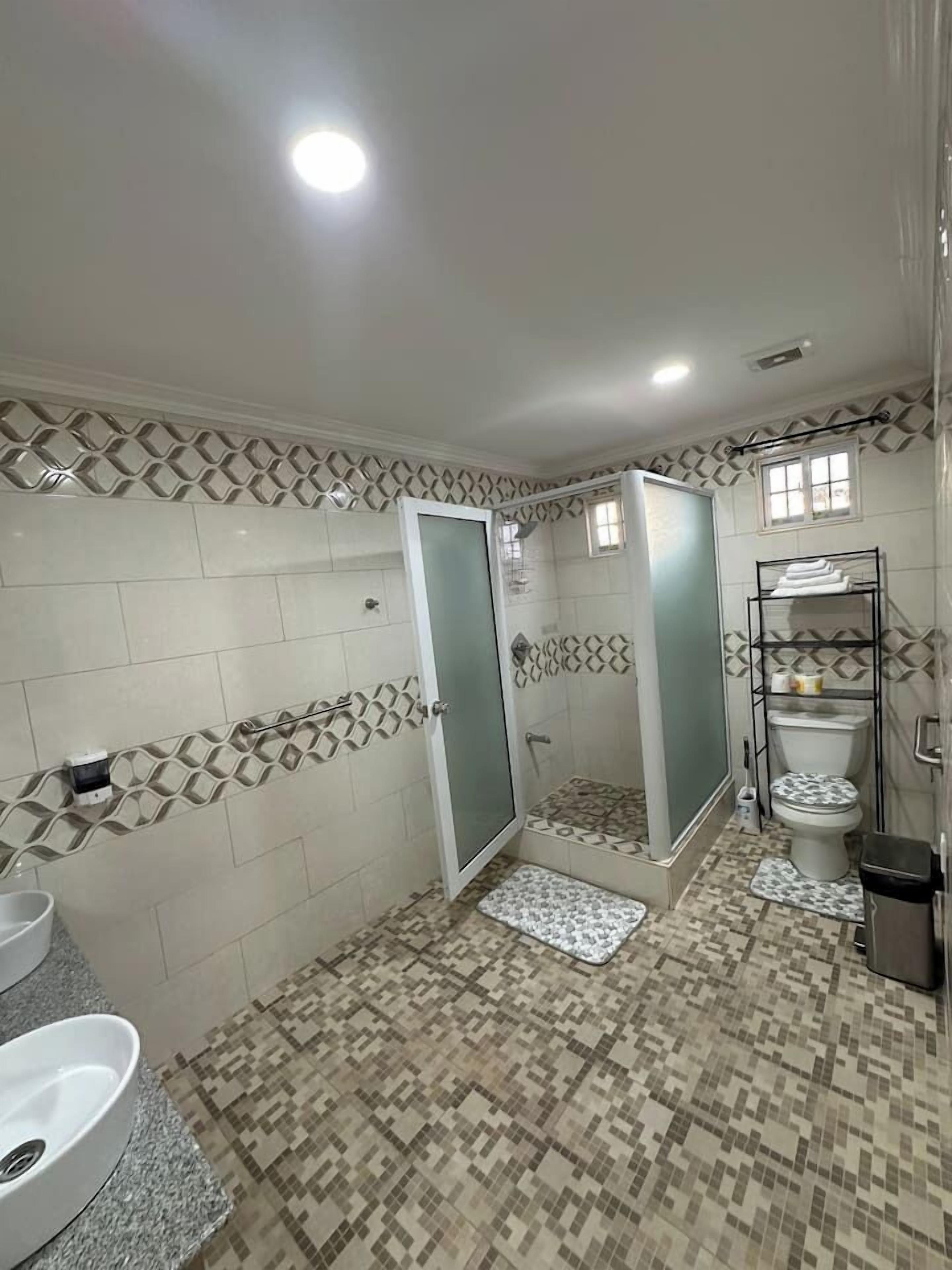 Shower, hair dryer