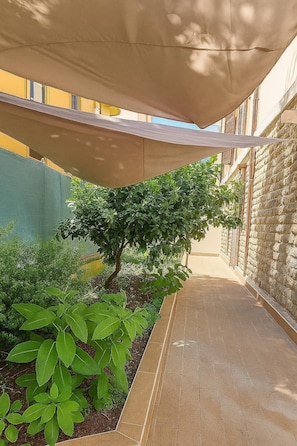 Junior Room | Terrace/patio