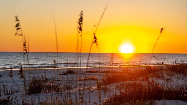 A sunset over a beach with grass in the foreground.
