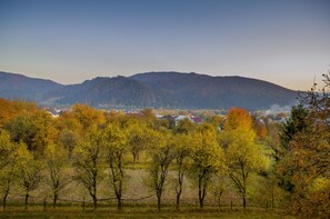 Chambre Standard double, balcon, vue sur la montagne | Vue du balcon